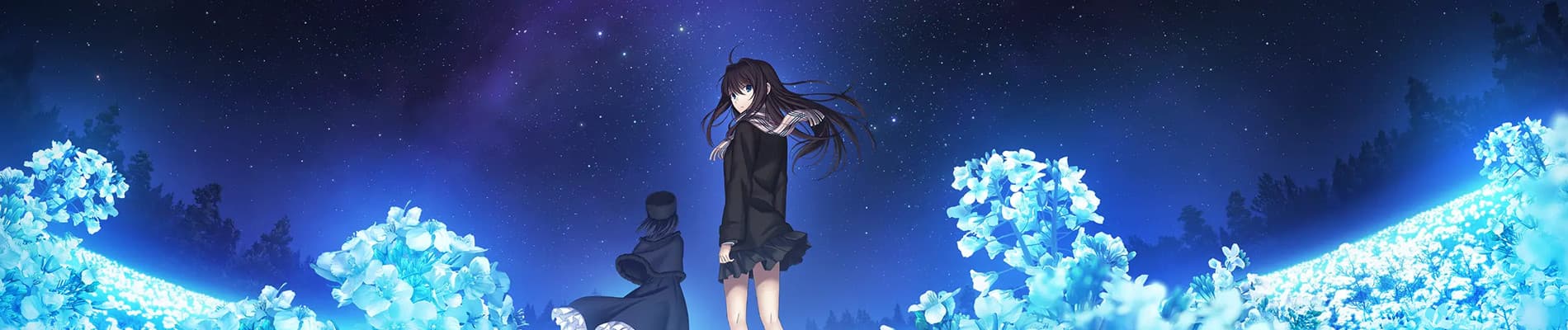 魔法使いの夜